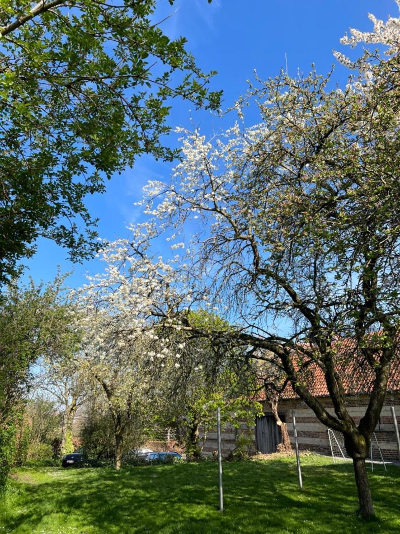 Villa De Zwarte Stok Riemst Exterior foto